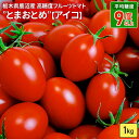 【ふるさと納税】栃木県 鹿沼産 高糖度 フルーツトマト ”とまおとめ” アイコ 1kg 　野菜 トマト 濃厚 カキヌマファーム とまおとめ フルティカ 濃厚 甘み 旨み 入手困難 贈り物 栃木県 鹿沼市　お届け：2024年12月下旬～2025年6月中旬頃