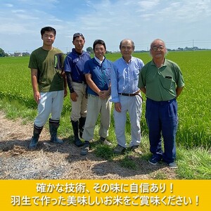 【予約】令和6年産 彩のきずな 10kg (5kg×2袋) お米 玄米 特A 埼玉県 ブランド米 羽生市 米 おこめ 米 おこめ 米 米 こめ 農家 米 こめ 産地 米 こめ 直送 米 こめ 羽生 米