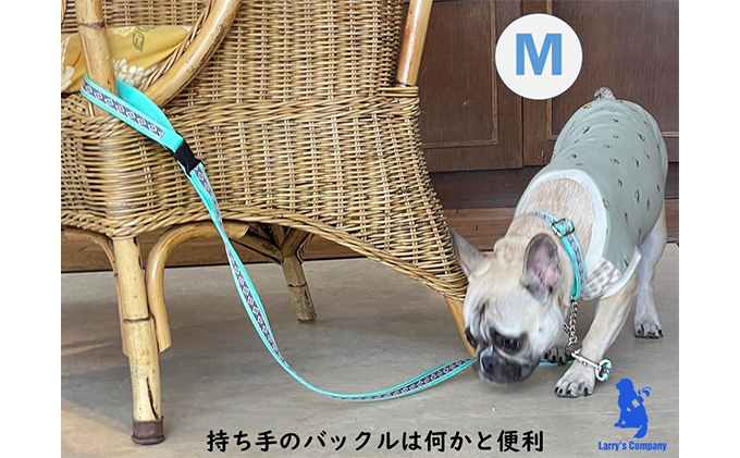 【中型犬用・Mサイズ】ハーフチョークカラーとリードのセット（ひし形＆ミント）