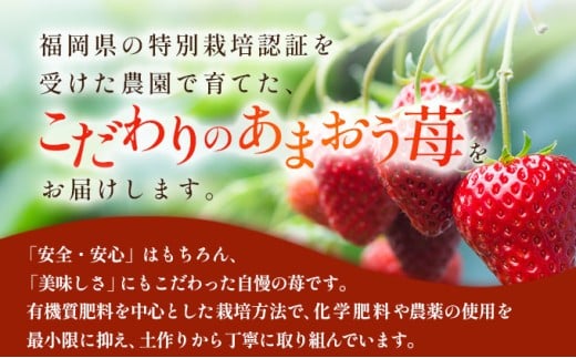 福岡県産 特別栽培 あまおう サイズいろいろMIX 約570g（約285g×2パック）【3月発送】　農園直送 アフター保証 先行予約 福岡産 送料無料 ケーキ ギフト お祝い 限定 季節限定 UN00