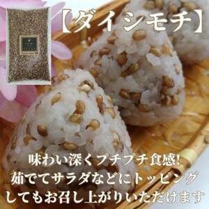CI819_佐賀県産『もち麦』食べ比べ！キラリモチ３kg、ダイシモチ３kg（計６㎏）