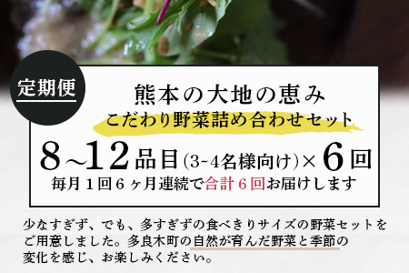 【定期便6回】熊本の大地の恵み 旬の こだわり野菜詰め合わせセット 8〜12品 （3〜4名様向け）6回配送 獲れたて 新鮮 野菜 セット 詰め合わせ 詰合せ 定期便 産地 直送 国産 季節 旬野菜 家