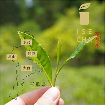 ふるさと納税 津市 伊勢茶ティーバッグ味くらべセット 20パック×4種[53720100] |  | 02