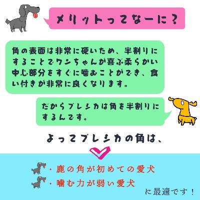 ふるさと納税 北見市 プレシカ　大型犬用鹿の角　LLサイズ半割り2本セット(約15cm) |  | 02