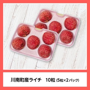 【令和8年産】川南町産ライチ（大粒）10粒(5粒×2パック) 【 国産ライチ フルーツ デザート 宮崎県産 】