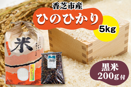 ヒノヒカリ5kgと黒米200gセット(奈良県香芝市産) ｜ヒノヒカリ 5kg 黒米200g 奈良県香芝市産 [3253]