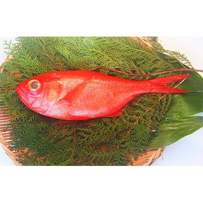 ふるさと納税 下田市 【渡辺水産】【生】でお届け!こだわりの地金目鯛しゃぶしゃぶ&湯引き(刺身用)セット |  | 01