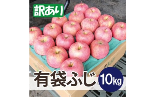 ＜26年6月出荷予定＞平均糖度13度以上! 有袋ふじ 約10kg 訳あり CA貯蔵 クール便【1613254】