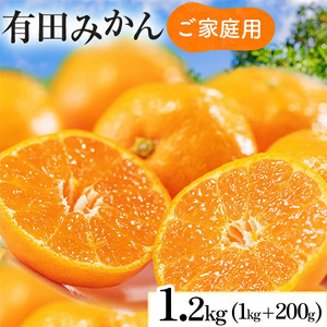 【先行予約】【数量限定】濃厚有田みかん(ご家庭用) 1.3kg+200g(傷み補償分) ※2025年10月上旬～2026年1月中旬頃に順次発送予定 ※北海道・沖縄・離島への配送不可 