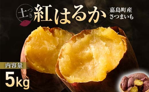 
FKK19-632 【先行予約】嘉島町産さつまいも「紅はるか」5kg 土付き ＜2024年11月下旬から順次発送＞ サツマイモ イモ 焼き芋 野菜
