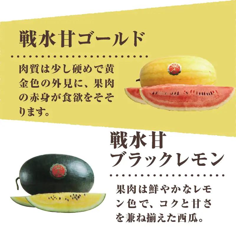 【2026年先行予約】北杜市白州産すいか「すいかばか！」のこだわりの特選すいか 戦水甘シリーズ中から1玉 [h047]