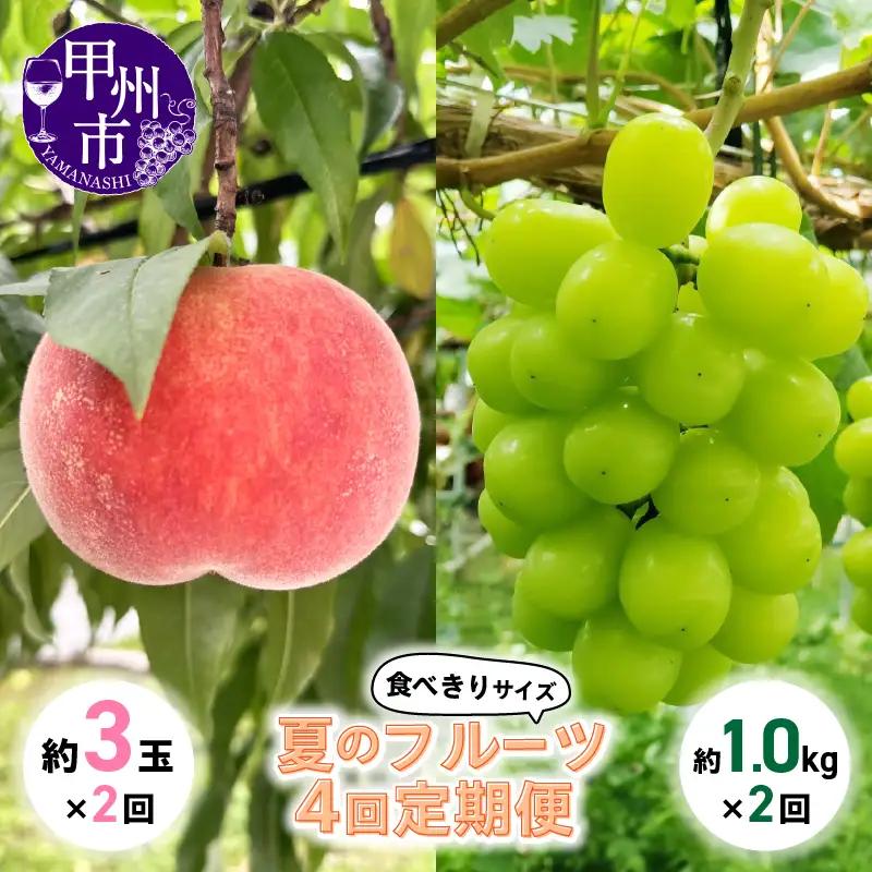 【定期便】食べきりサイズ 夏のフルーツ4回定期便【2026年発送】（KSB）D6-130 【桃 もも モモ シャインマスカット 葡萄 ぶどう ブドウ 令和8年発送 期間限定 山梨県産 甲州市 フルーツ 果物】