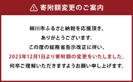 【受注生産】職人が一点一点丁寧に仕上げた力強い天然の木目が美しい ダイニング セット 。HIRASHIMA CARAMELLA ダイニング 4 Set (張地：カプリス)