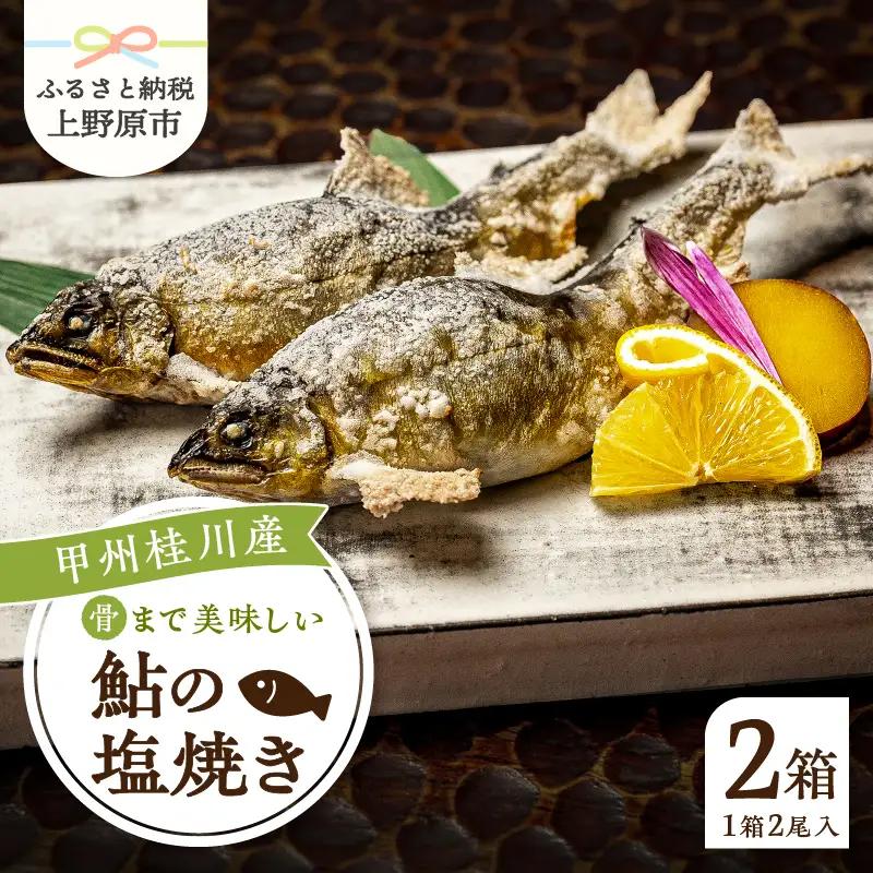 甲州桂川産 鮎の塩焼き【常温保存が可能なタイプ】