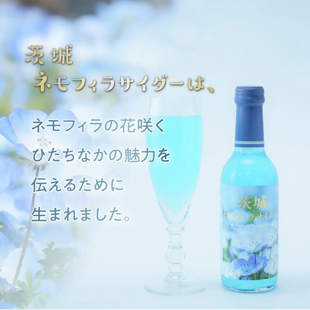茨城ネモフィラサイダー　240ml×20本【1630240】