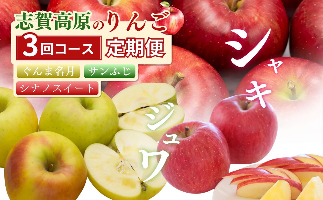 定期便 3ヶ月 志賀高原季節のりんご定期便3回コース りんご シナノスイート ぐんま名月 サンふじ リンゴ フルーツ 果物 デザート おやつ 長野県 長野 定期 お楽しみ 3回