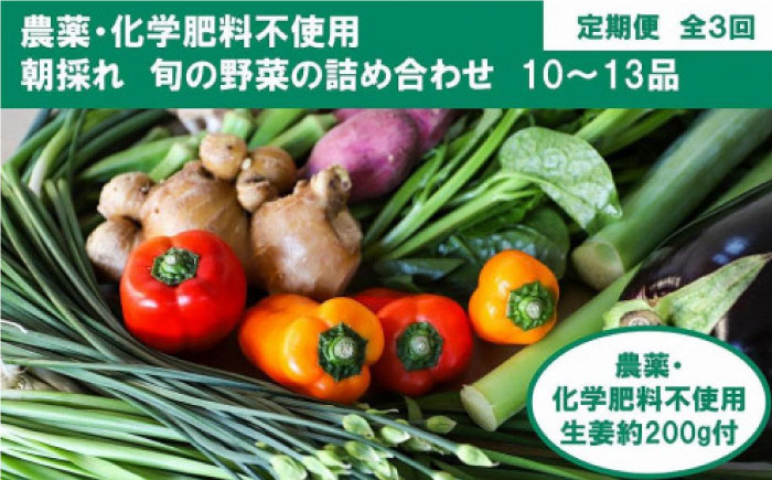 
            【全3回定期便】土佐の太陽をいっぱいに浴びた旬の野菜と生姜約200gのセット「大」 (3回配送)【土佐野菜】 [ATBA014]
          