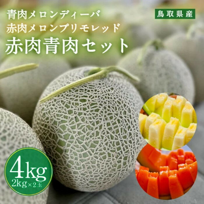 【ふるさと納税】【先行予約】956.【ふるさと納税】青肉メロンディーバと赤肉メロンプリモレッドのセット ※日本全国配送可能 2026年10月上旬頃～11月上旬頃に順次発送予定