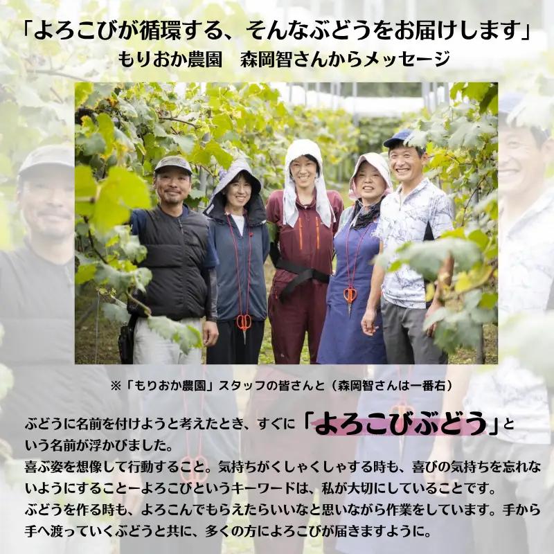 家庭用 ピオーネ 約5kg 7～13房 岡山県新見市 もりおか農園 よろこびぶどう  【先行予約 2026年9月上旬から順次発送】