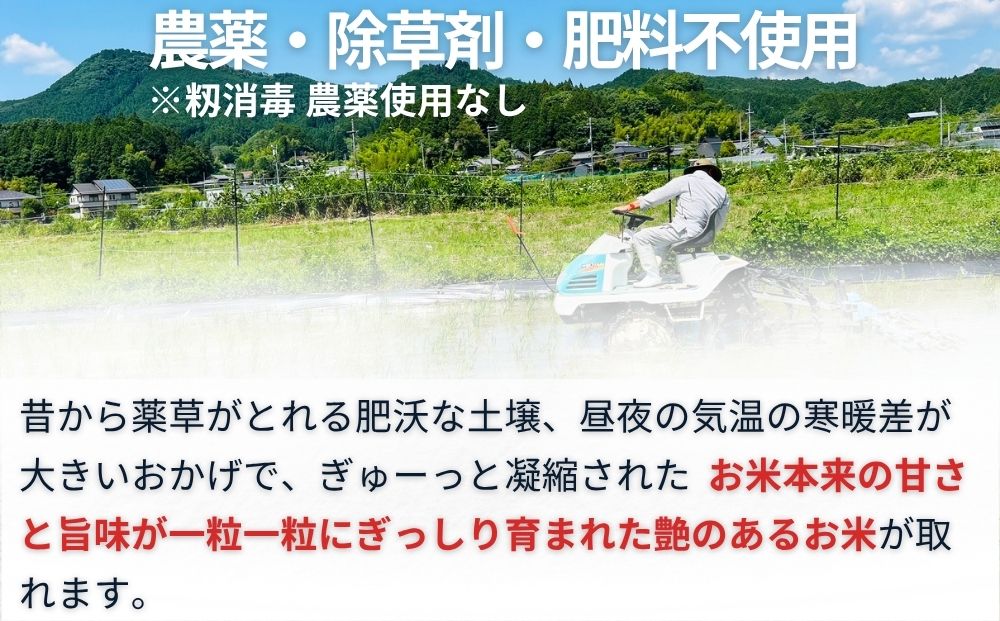 ＜令和7年産・先行予約＞自然栽培米 玄米 3kg 9月末より順次発送 ／ ふるさと納税 無農薬 米 お米 こめ コメ 国産 新米 農家やまおか 奈良県 宇陀市