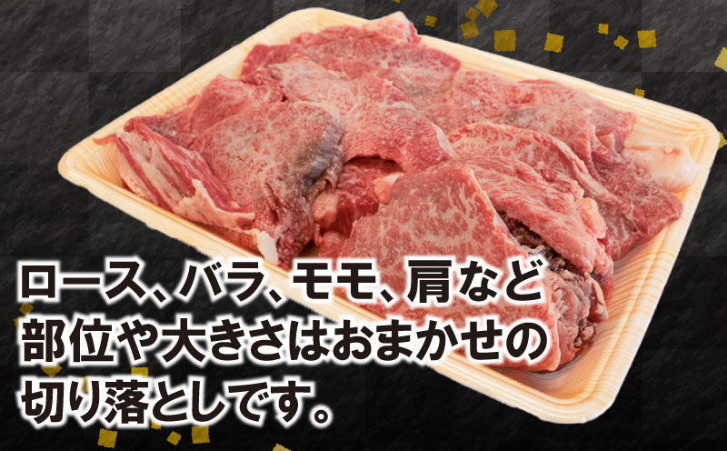 焼肉 切り落とし 500g 牛肉 和牛 部位お任せ 黒毛和牛 A5 A4 大きさ不揃い 切落し ブランド牛 阿波牛 阿波華牛 大容量