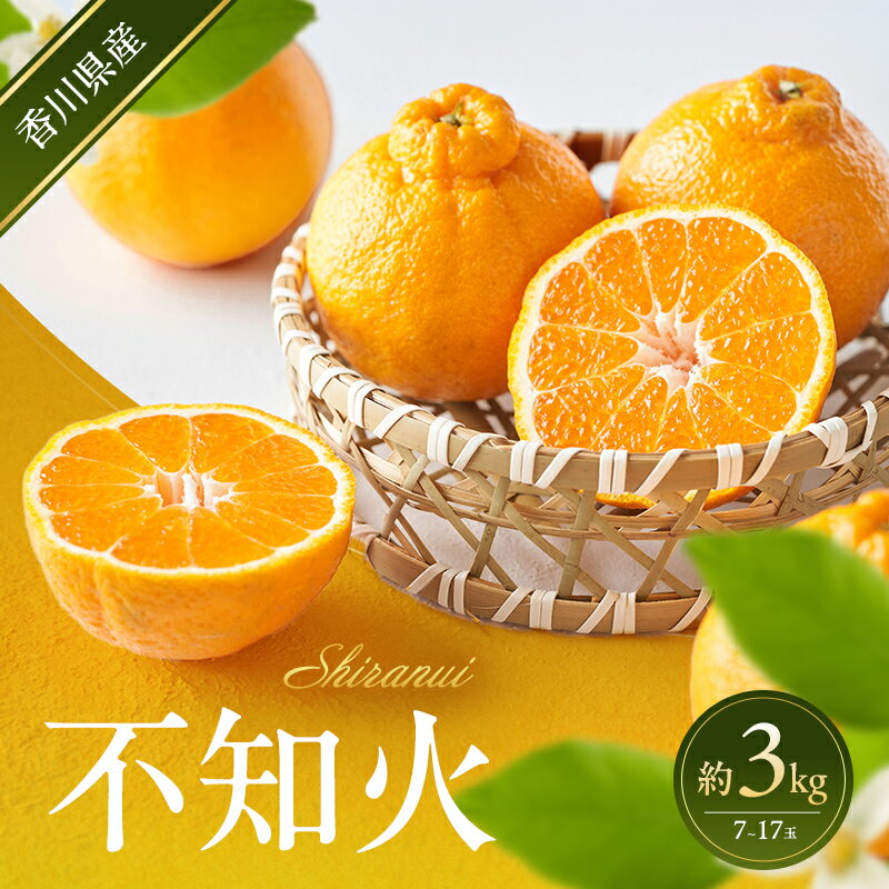 【ふるさと納税】不知火 約3kg 蜜柑 みかん ミカン 柑橘 フルーツ 果物 くだもの 果実 旬の果物 旬のフルーツ 香川 香川県 東かがわ市　お届け：2027年2月20日～2027年4月30日