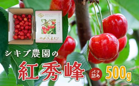 【令和6年産先行予約】 紅秀峰 バラ詰め Lサイズ 500g 山形県鶴岡産　シキブ農園　A03-629