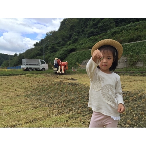 ★10/頭〜発送開始★定期便 ３ヶ月 食味値 80点以上 にじのきらめき お米 精米 ３kg 月１回 ／民ちゃん農園 ふるさと納税 有機肥料 ハイグレード 極上 おいしい ミネラル 米 こめ お米 お