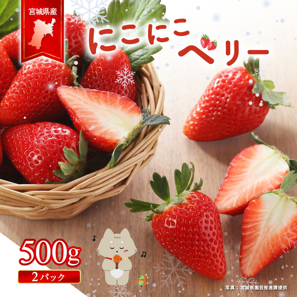 【ふるさと納税】宮城県産いちご「にこにこベリー」　約500g（250g×2） | いちご 苺 イチゴ ストロベリー フルーツ 果物 くだもの オリジナル品種 デザート スイーツ 甘味 酸味 断面 赤い お菓子作り 製菓材料 生食 家庭用 お取り寄せ 宮城県 丸森町 丸森【57001】