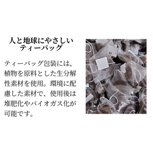 ＼先行予約／ 【たねがしまる4000】種子島 有機  緑茶  やぶきた ティーパック   NFN951【100pt】 // オーガニック 一番茶 JAS認証 