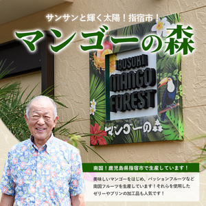 マンゴースイーツ マンゴー農家の贅沢マンゴープリン9個入 マンゴーの森 A-309 マンゴープリン マンゴープリン