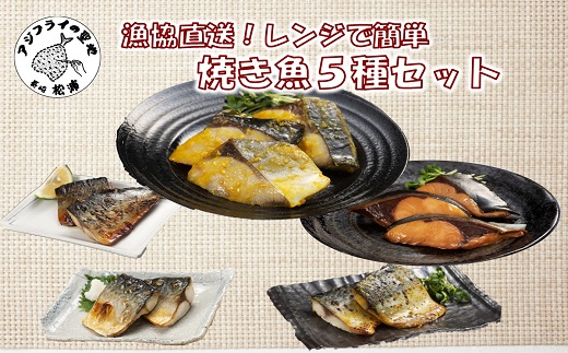 漁協直送！レンジで本格焼き魚5種セット( さば サバ ぶり ブリ 焼き魚 塩焼き みりん焼き 西京焼き 簡単調理 電子レンジ )【B3-054】