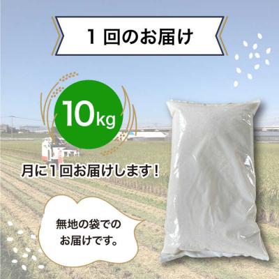 ふるさと納税 糸島市 【全3回(月1)定期便】とにかくおいしいお米  10kg 糸島市 シーブ [AHC050] |  | 02