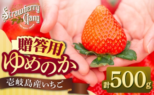 【先行予約】【贈答用】ゆめのか 約500g（250g×2パック）【2027年1月以降順次発送】《壱岐市》【Strawberry Gang】 [JEM005] セット いちご イチゴ 苺 果物 フルーツ スムージー プレゼント ギフト  春の味覚 9000 9000円