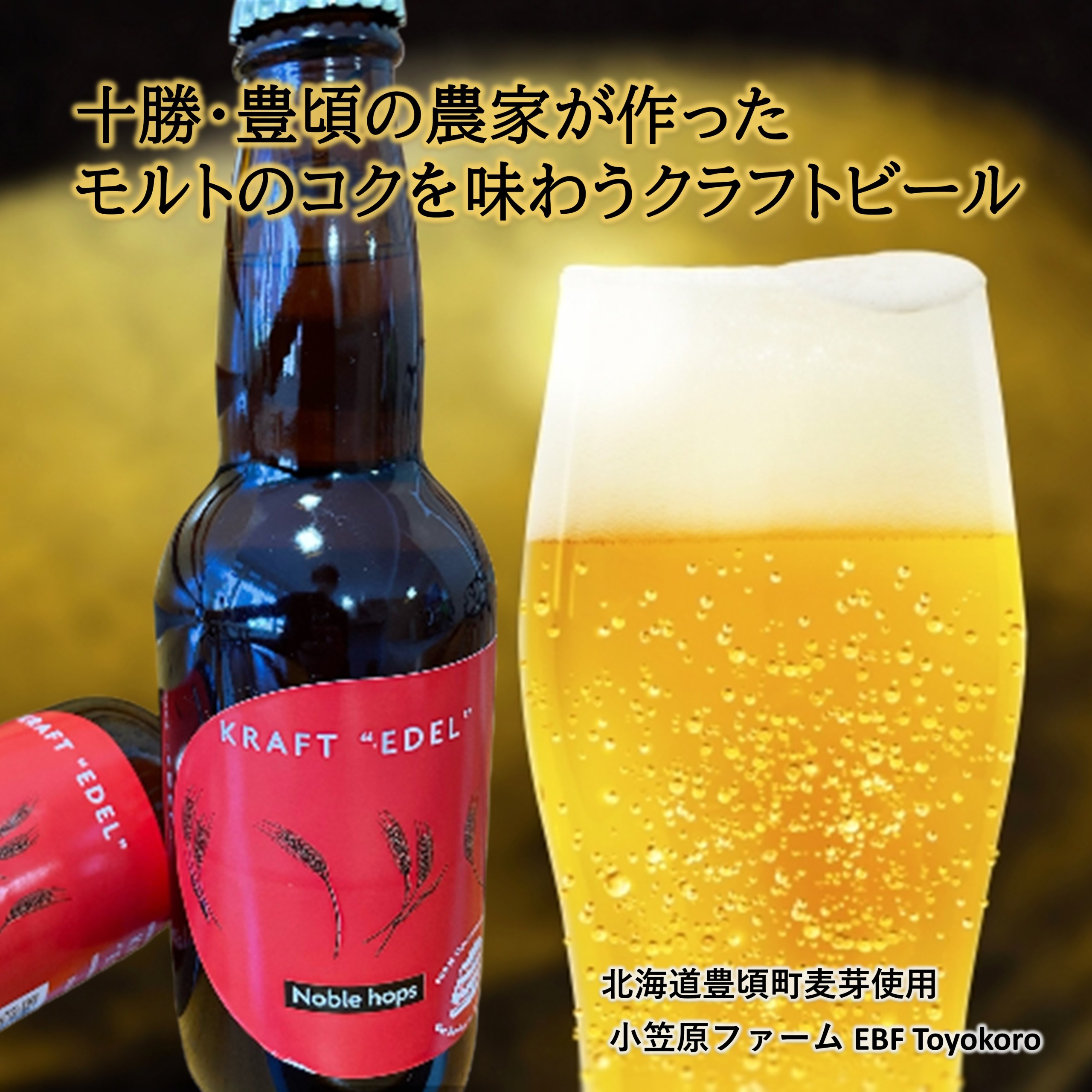 十勝・豊頃の農家が作ったクラフトビール330ml×2本・二条大麦100％「十勝10時と15時の大麦茶」7包×2袋セット【6回定期便】