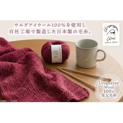 ふるさと納税 江南市 あみもねっと ウルグアイウール並太 11番色 10玉セット |  | 01