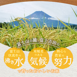 令和7年産 無洗米 新米 5kg 美富士の夢来 厳選極上米ゴールド 無洗米 希少米 米