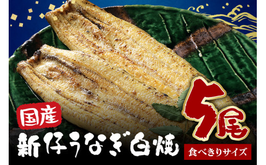 食べ切りサイズ! 国内産 うなぎ 白焼 ( 酒蒸 ) 100～120g 5尾 計500g以上 ふっくら 柔らか 鰻本来の旨味 ワサビ醤油 蒲焼のタレ 山椒付き 湯煎 簡単調理 贈答用 ギフト 冷蔵配送 茨城県 潮来市 (A23-029)