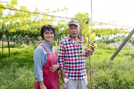 【2025年配送分】甲府市産自然塾のシャインマスカット1.2kg(2房～3房)