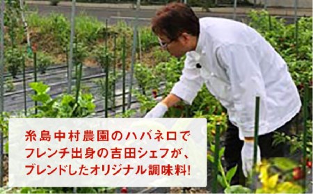 ハバネロしょうゆ 100ml《糸島》【シェフのごはんやさん四季彩】【いとしまごころ】[ACC009] 醤油 タレ お試し 小さいサイズ 少量 国産 ハバネロ 唐辛子