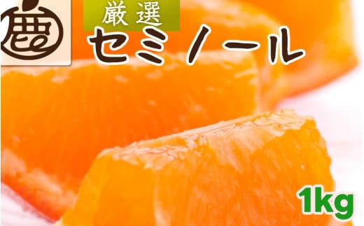 セミノール オレンジ 厳選 1kg+250g（痛み補償分） 光センサー / みかん 甘い 高級 柑橘 晩柑 和歌山 有田 ※4月上旬〜6月下旬ごろに順次発送 ※北海道・沖縄・離島への配送不可 【ikd016-p-1A】