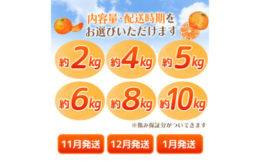 【2025年11月発送予約分】＼光センサー選別／ 【農家直送】【家庭用】こだわりの有田みかん 約6kg＋250g(傷み補償分) 先行予約 有機質肥料100% サイズ混合 【11月発送】みかん ミカン 