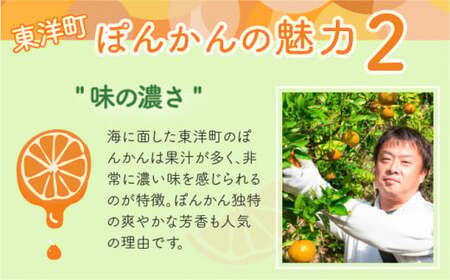 【先行予約】ポンカン 海のミネラルをたっぷり含んだ甲浦のポンカン 5kg〈訳あり〉 国産 東洋町産 訳アリ 甘い 栄養たっぷり ジューシー 果肉 四国 お取り寄せ フルーツ 蜜柑 ミカン 果物 家庭用