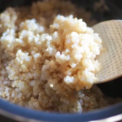 ふるさと納税 福知山市 【令和4年産】京都 福知山産こしひかり 玄米10kg 一般には流通していない特別なお米です。 |  | 03