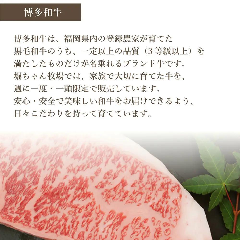 博多和牛　サーロインステーキ2枚入り