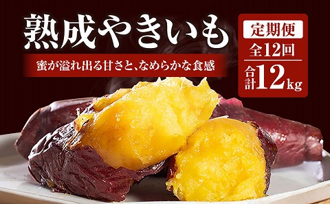 【定期便・全12回】熟成やきいも