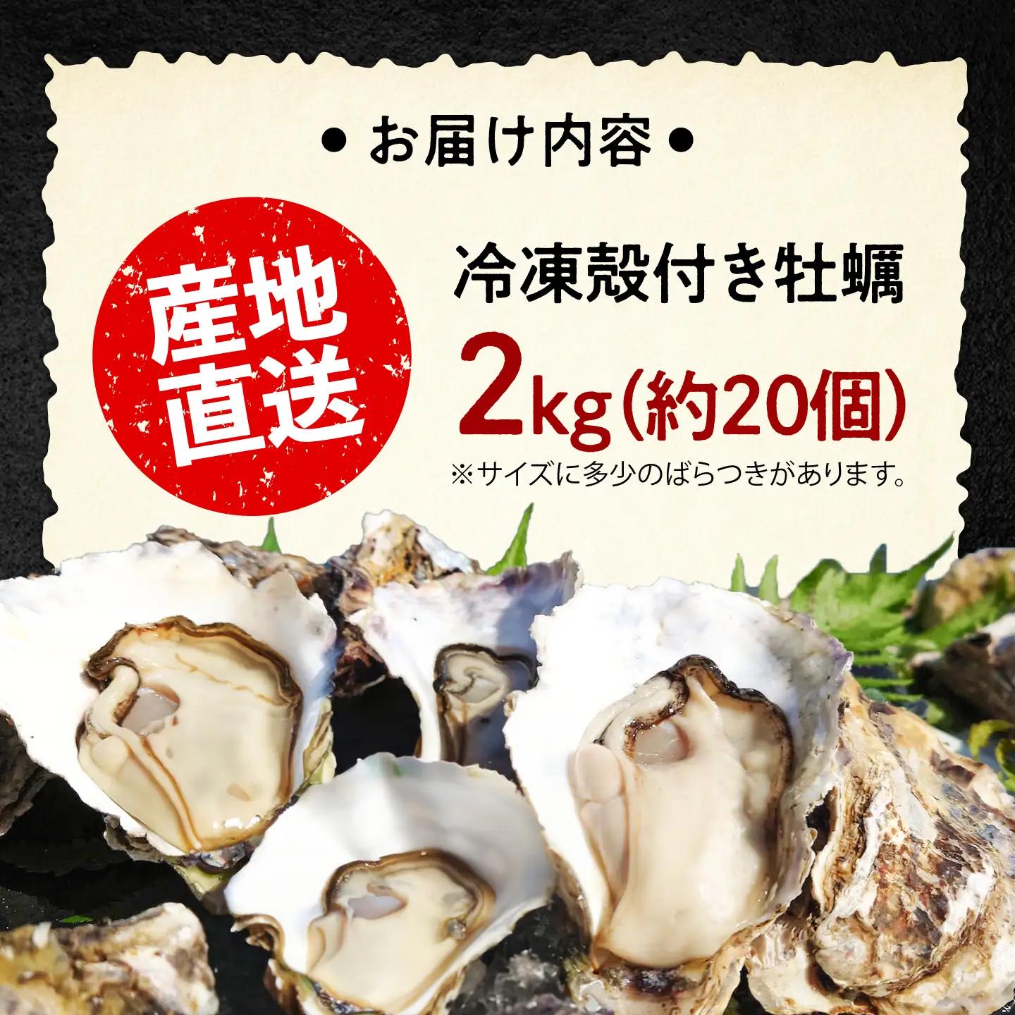 牡蠣 殻付き2kg 貝[XAO029]牡蠣
