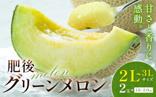 メロン 肥後グリーンメロン 大 2L ～ 3L サイズ 2玉 約1.6～2kg×2 MOTOYAMA358FARM 《2026年5月下旬-6月下旬頃出荷》 熊本県 菊池市 メロン 果物 フルーツ 九州産 国産 送料無料