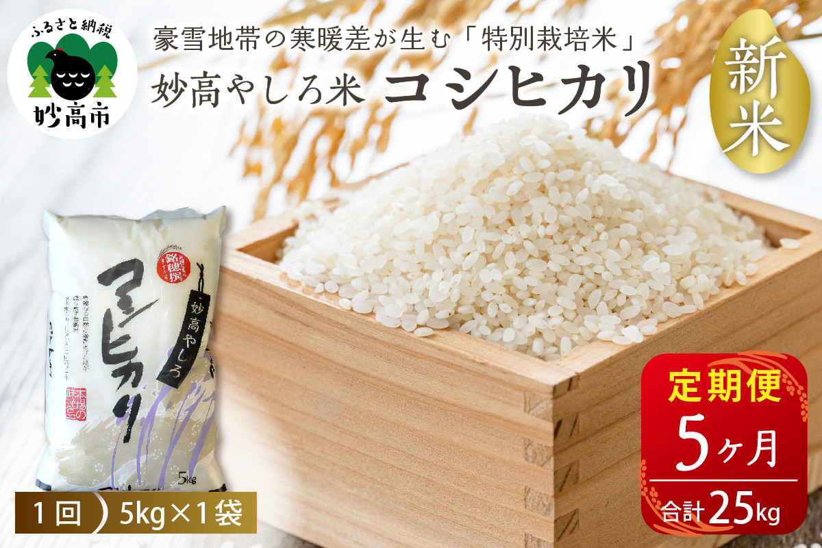 
【2024年11月下旬より】【5ヵ月定期便】令和6年産 新潟県　妙高やしろ米 コシヒカリ25kg(５㎏×５回)
