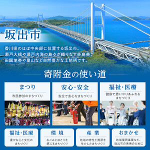 【返礼品なし】坂出市　寄附のみの応援寄附金　1,000円　（返礼品はありません）